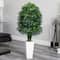 4ft. Mini Bamboo Palm Tree in White Tower Planter